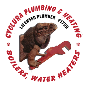 Plumbing Services Floral Park NY